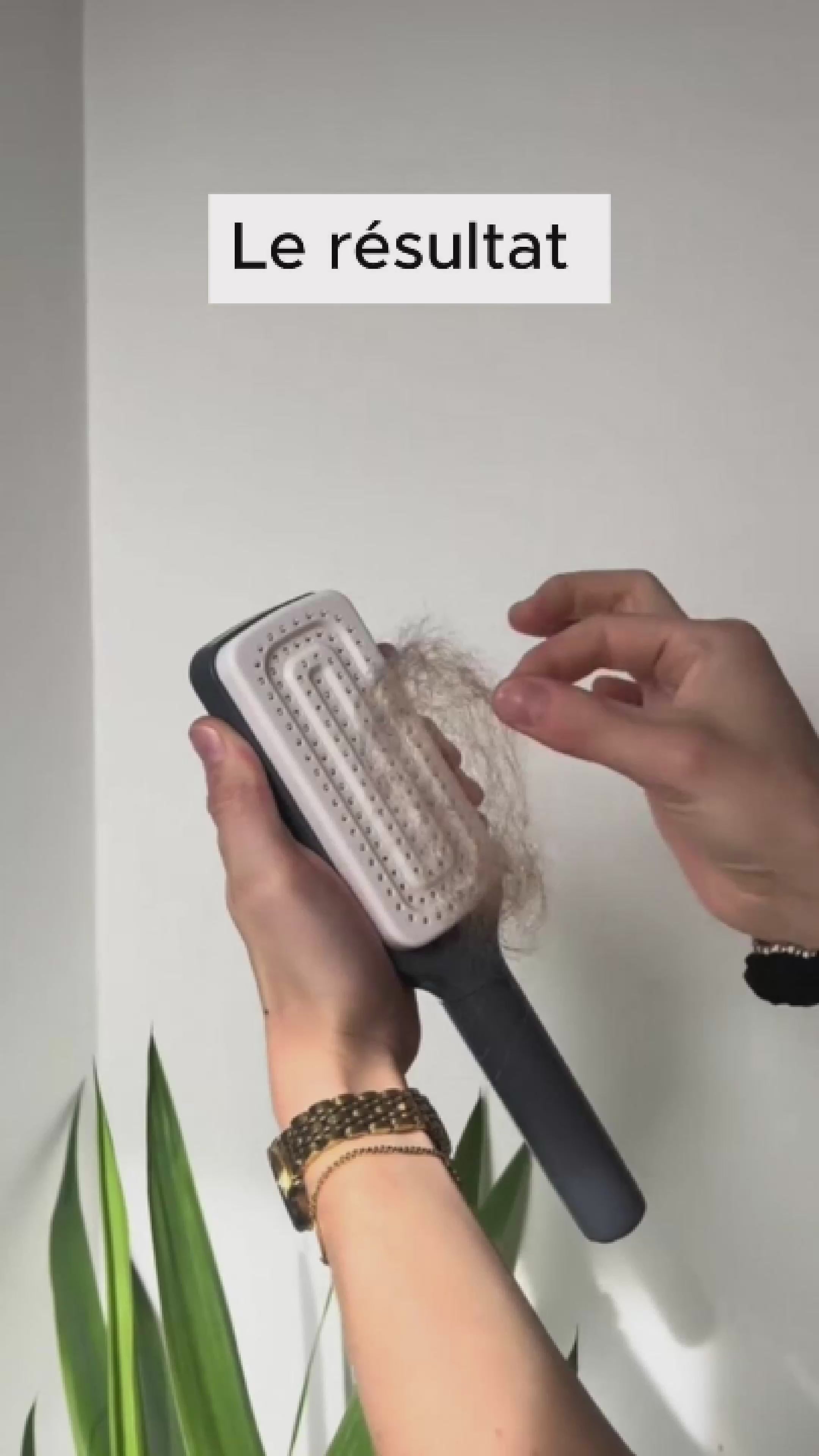 Självrengörande hårborste - Brushia